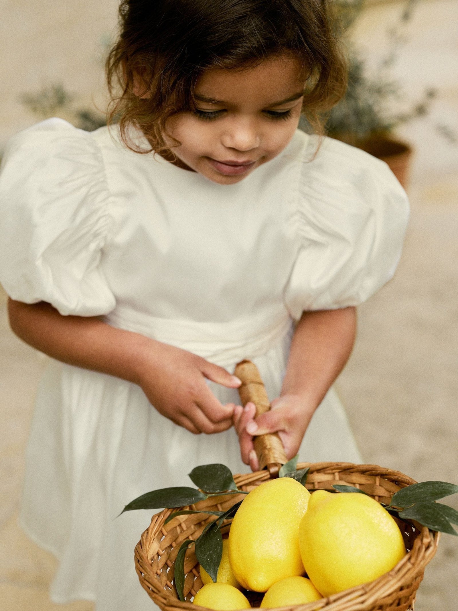 Ivory Flower Girl Taffeta Bow Dress (3mths-8yrs)
