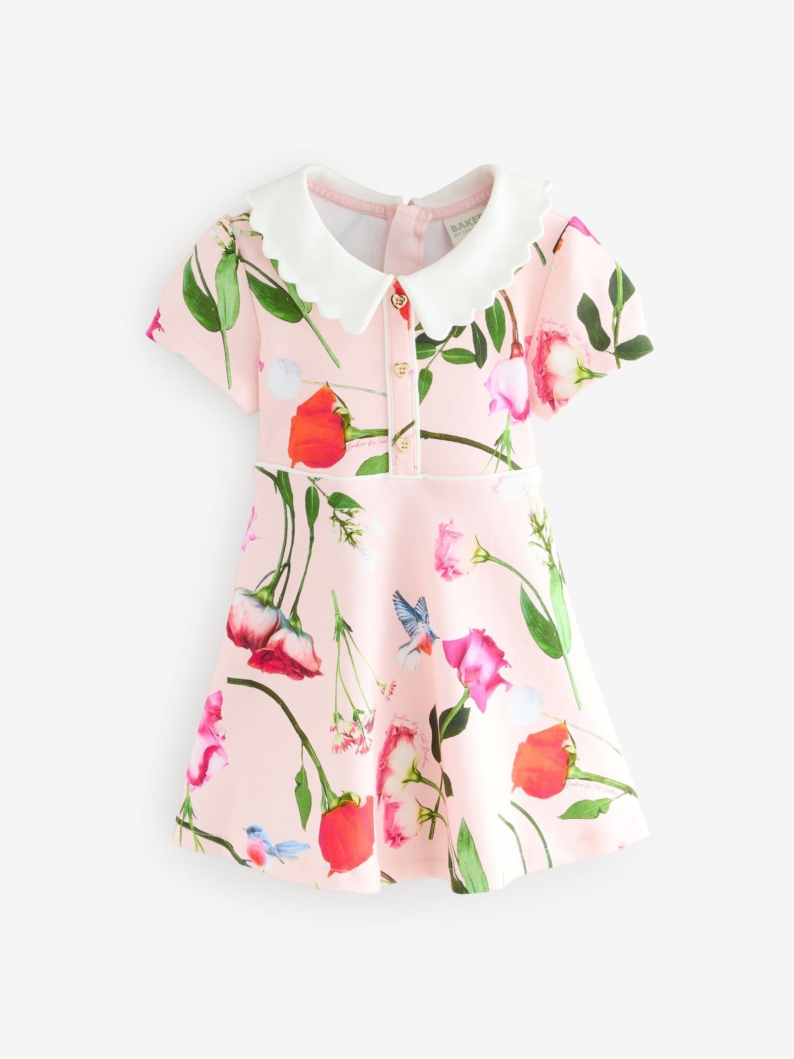 Baker by Ted Baker Bow Collared Ponte Dress