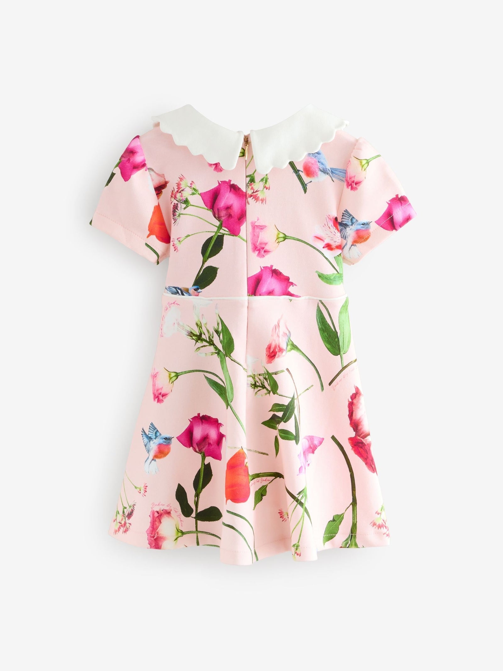 Baker by Ted Baker Bow Collared Ponte Dress