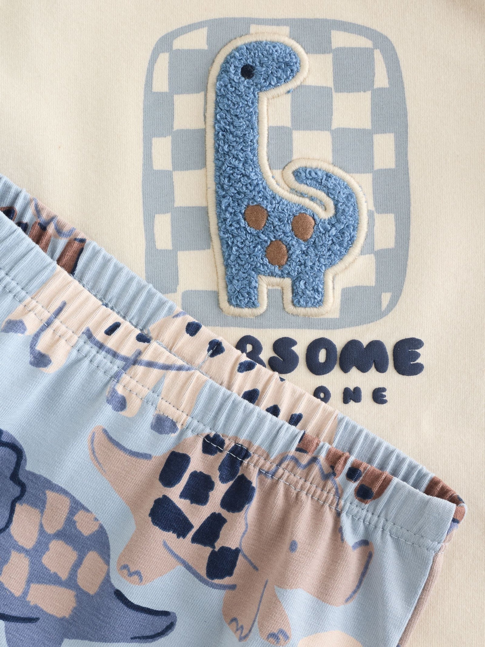 Blue Dinosaur Baby Top and Leggings Set 2 Piece (0mths-3yrs)