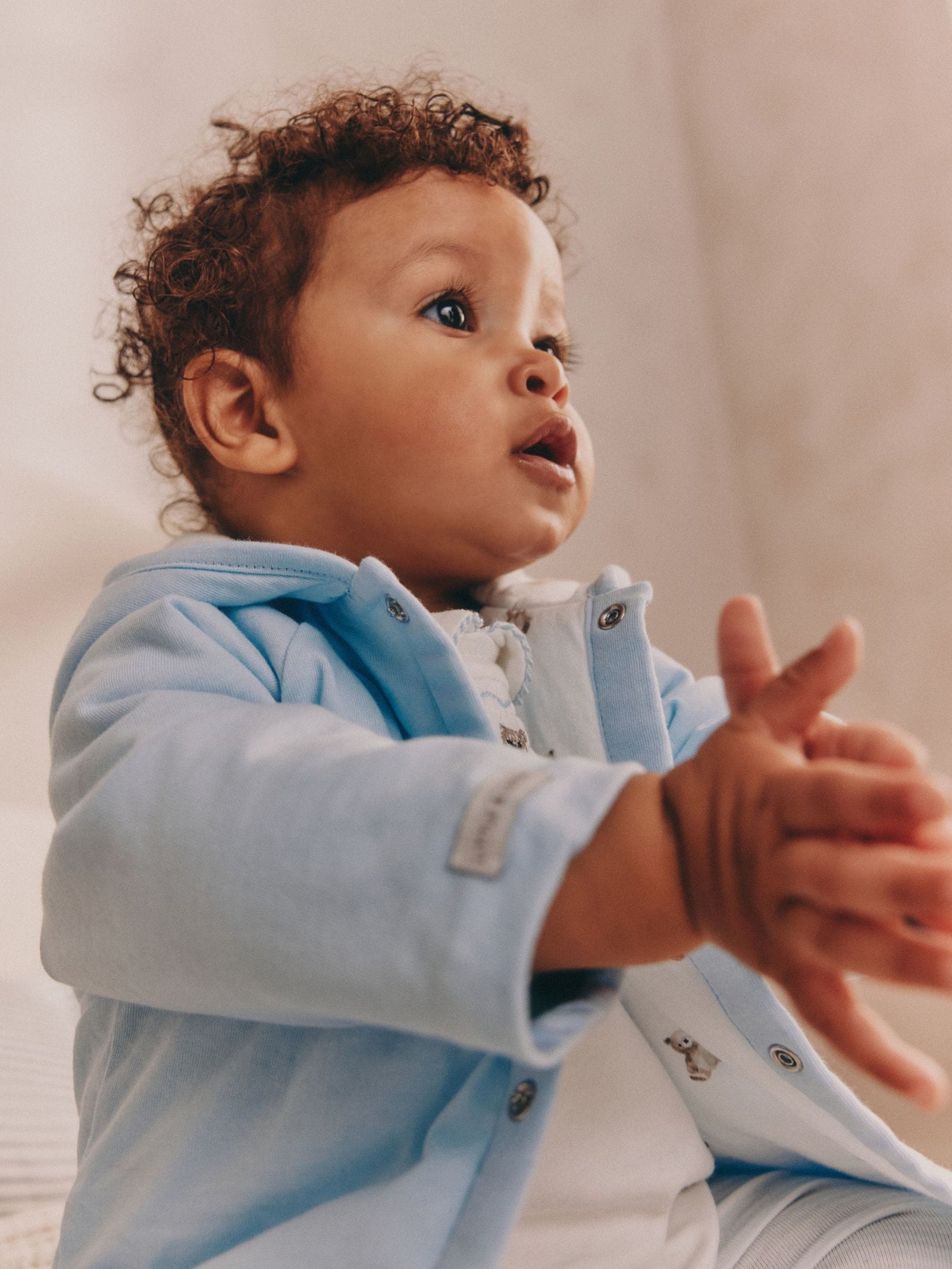 Blue Bear Baby Jersey Jacket, Bodysuit and Leggings 3 Piece Set