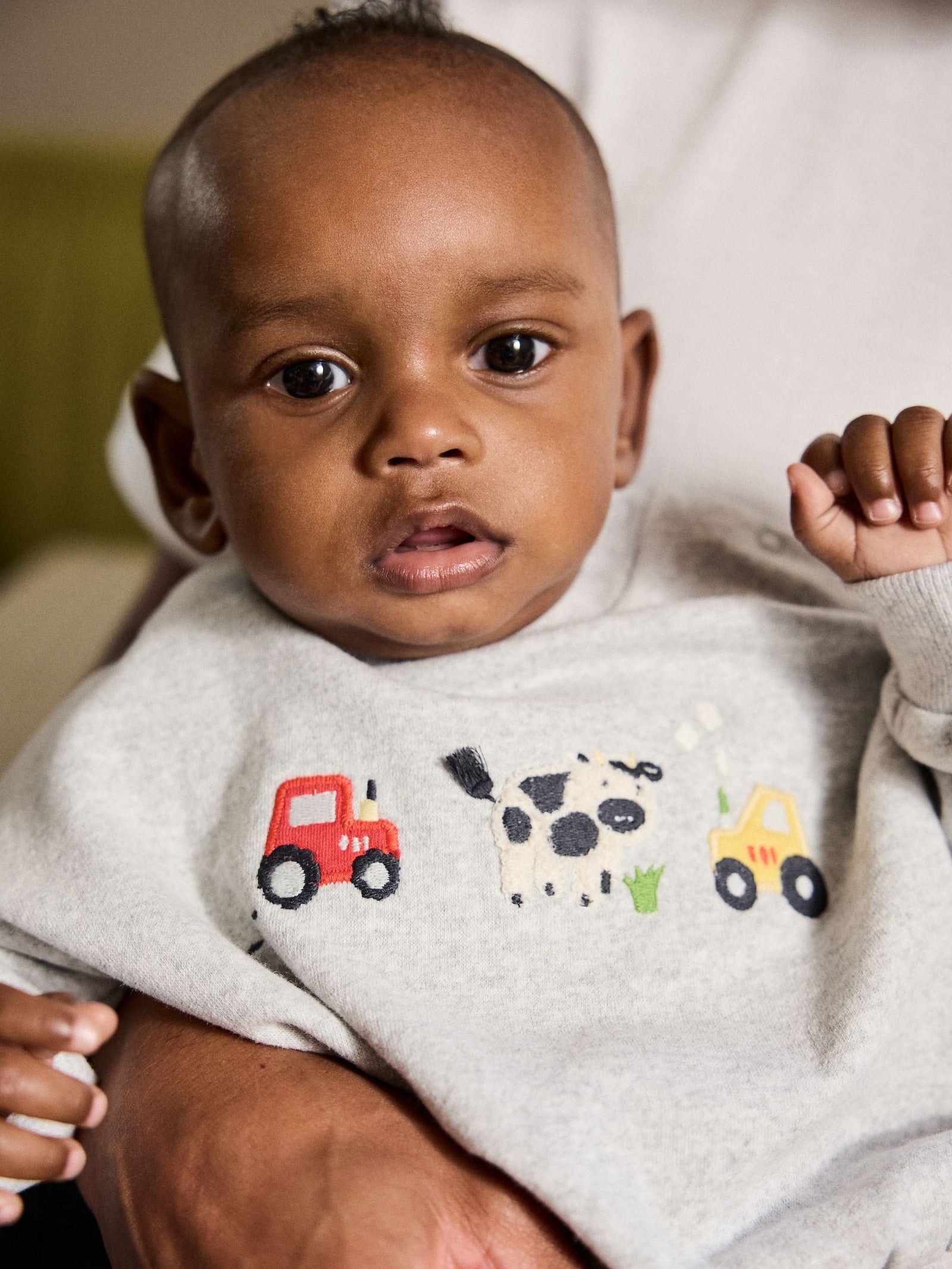 Grey Farm Character Baby Sweatshirt and Leggings Set (0mths-3yrs)