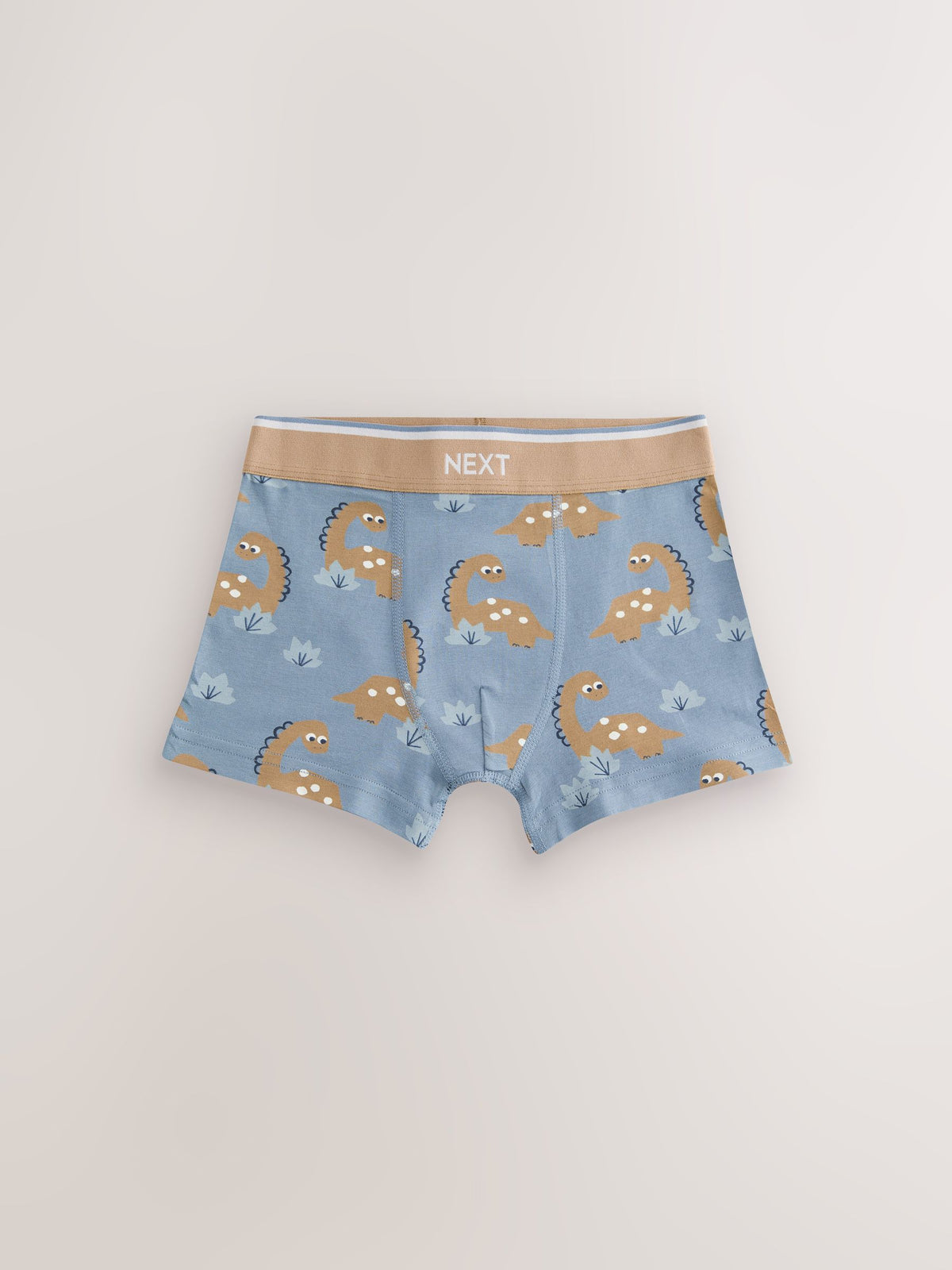 Blue/Brown Dino Trunks 5 Pack (1.5-12yrs)
