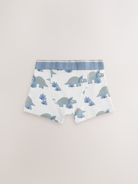Blue/Brown Dino Trunks 5 Pack (1.5-12yrs)
