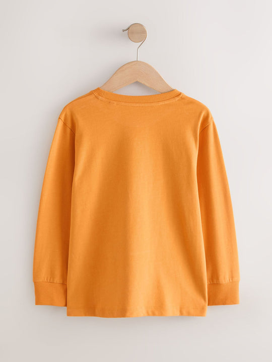 Ochre Yellow Regular Fit Long Sleeve Cosy T-Shirt (3-16yrs)
