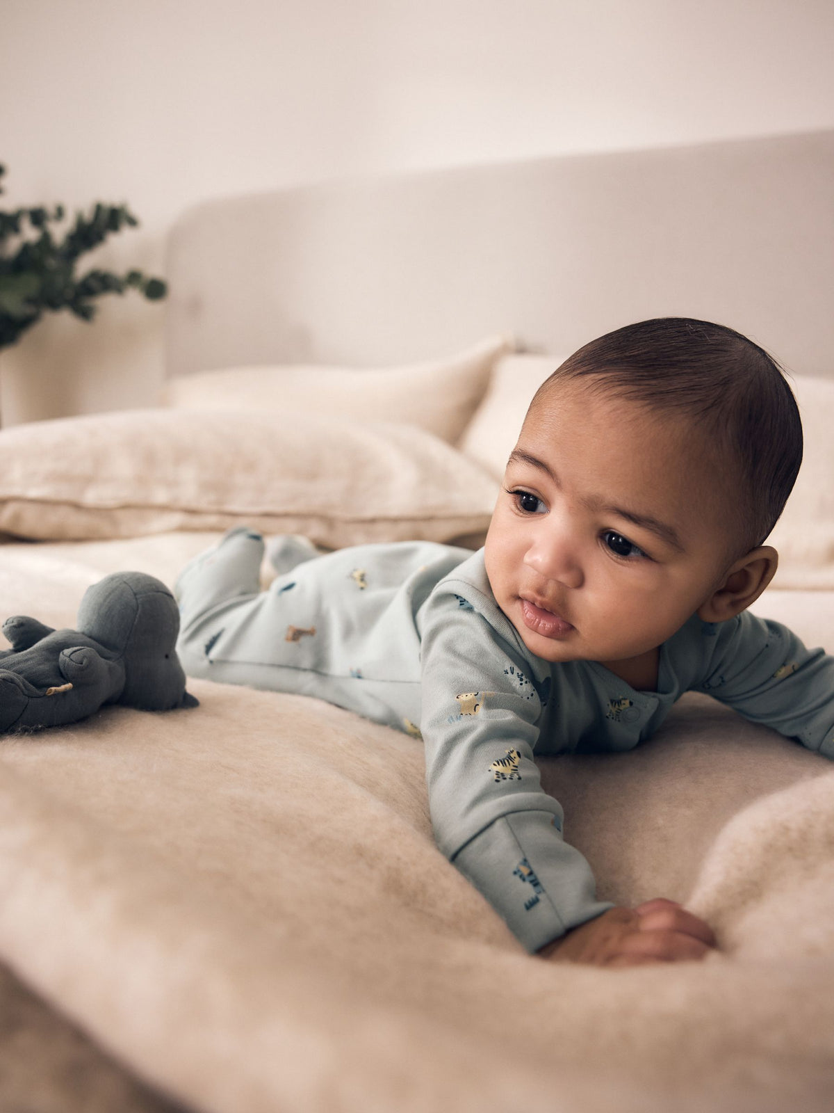 Blue Character Baby Sleepuits 5 Pack (0-2yrs)