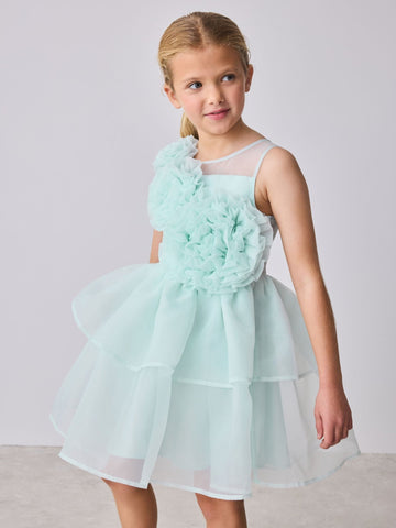 Baker by Ted Baker Corsage Organza Occasion Dress