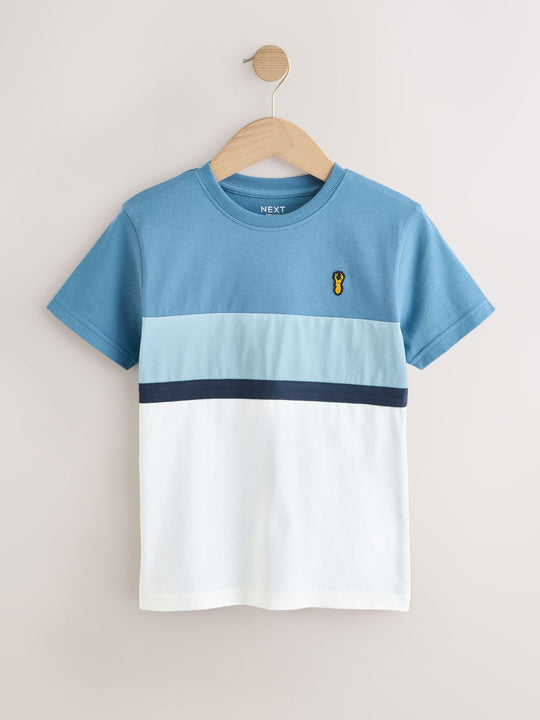 Blue Regular Fit Relaxed Fit Colourblock Short Sleeve T-Shirts 3 Pack (3-16yrs) (3-16yrs)