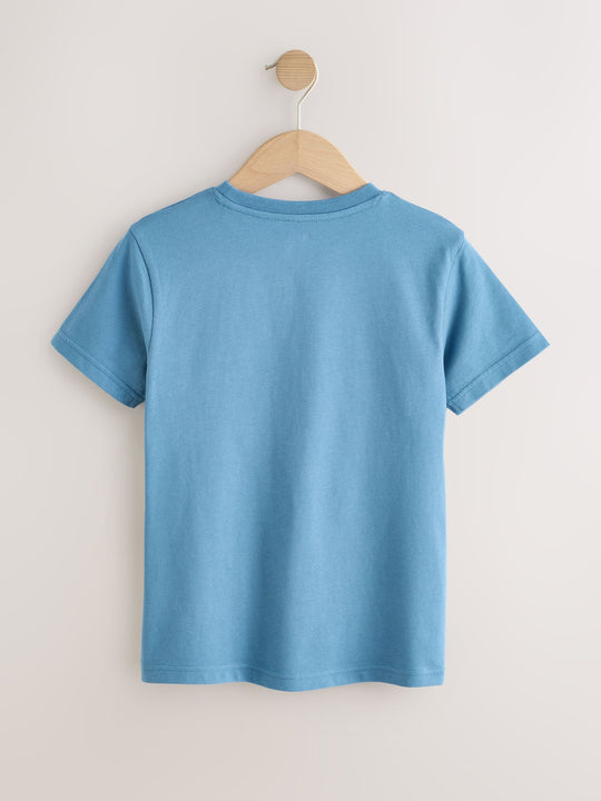 Blue Regular Fit Relaxed Fit Colourblock Short Sleeve T-Shirts 3 Pack (3-16yrs) (3-16yrs)