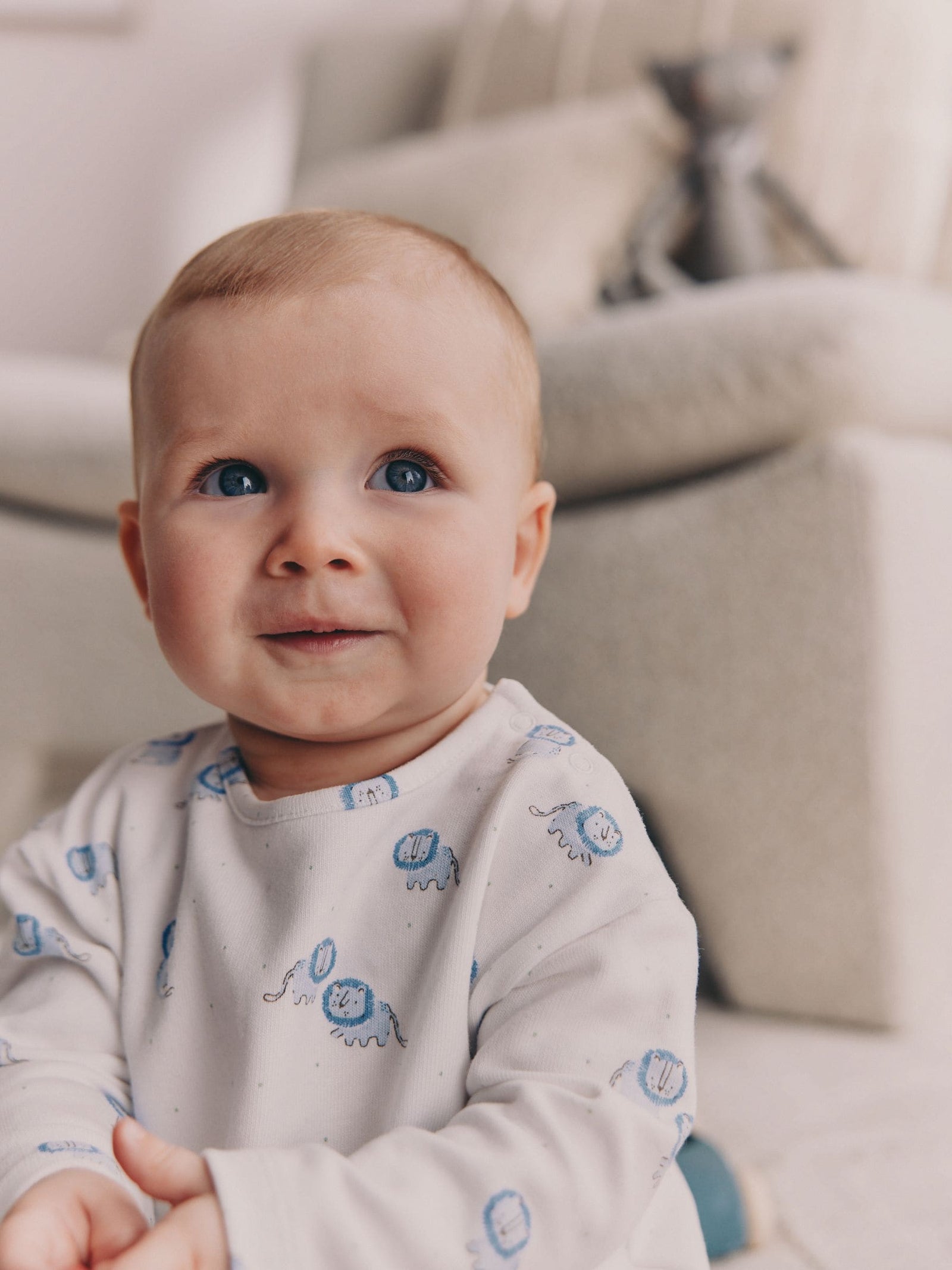 Blue Lion Top and Leggings Baby Set (0mths-2yrs)