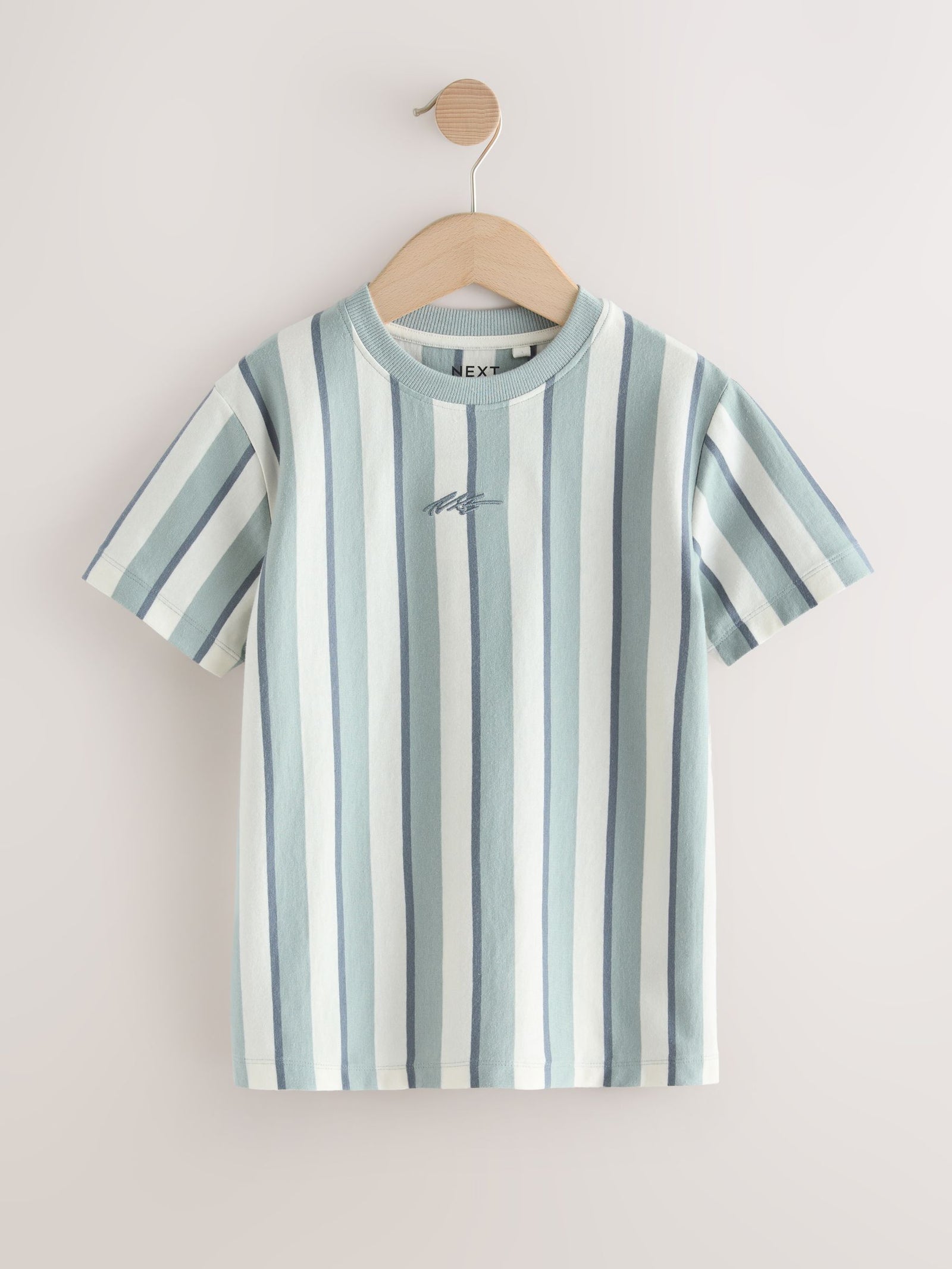 Mineral Stripe Regular Fit Short Sleeve Graphic Print T-Shirt (3-16yrs)