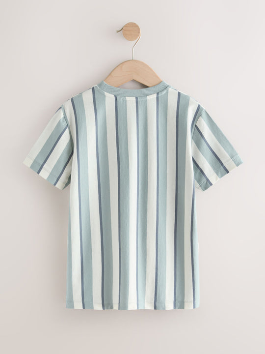 Mineral Stripe Regular Fit Short Sleeve Graphic Print T-Shirt (3-16yrs)