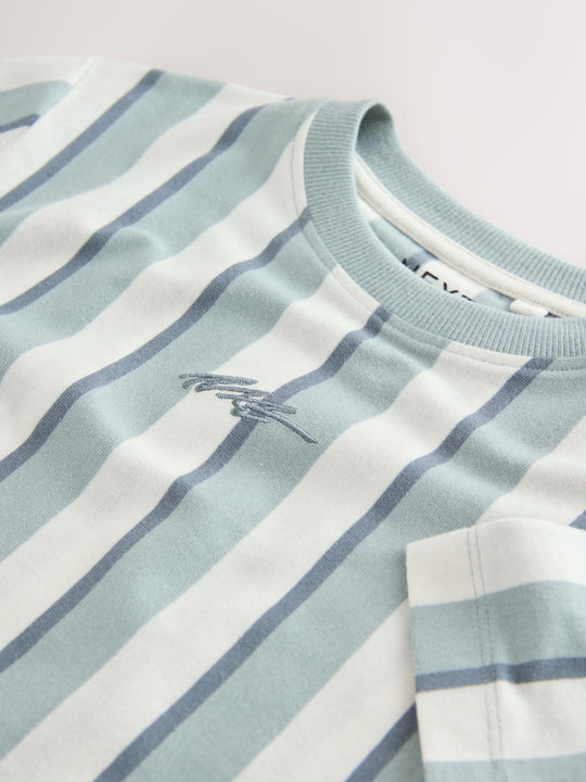 Mineral Stripe Regular Fit Short Sleeve Graphic Print T-Shirt (3-16yrs)