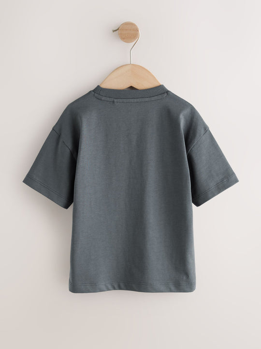 Charcoal Grey Cool Slogan Short Sleeve Small Graphic T-Shirt (3mths-8yrs)