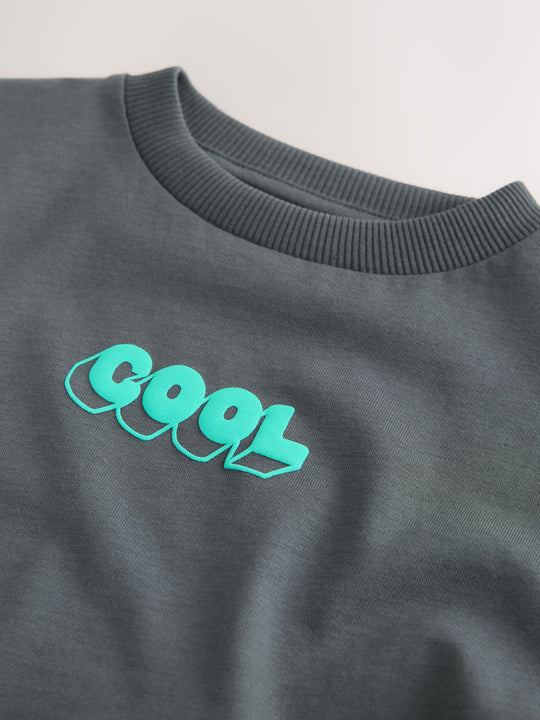Charcoal Grey Cool Slogan Short Sleeve Small Graphic T-Shirt (3mths-7yrs)