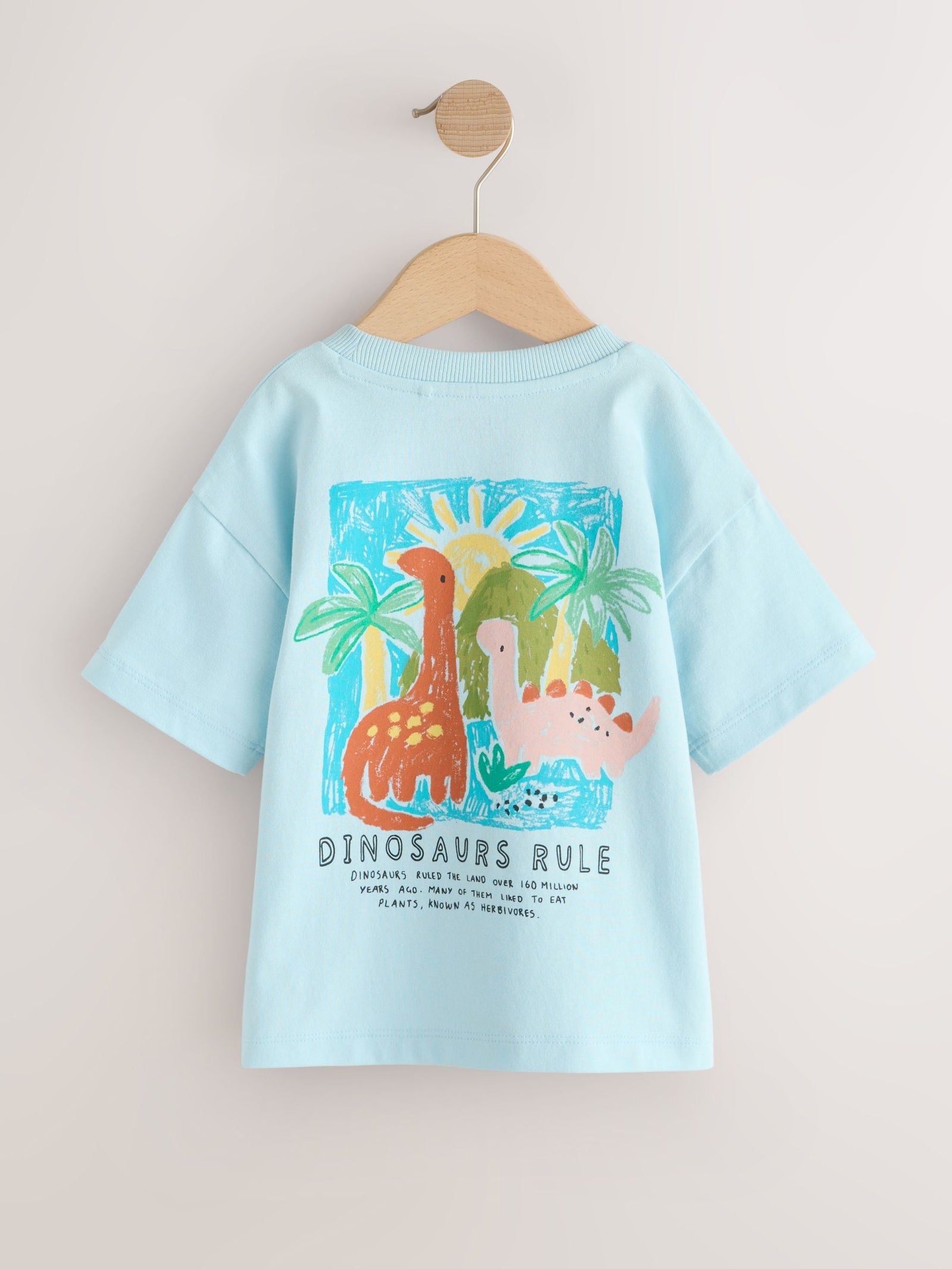 Blue Dinosaur Short Sleeve Back Print T-Shirt (3mths-7yrs)