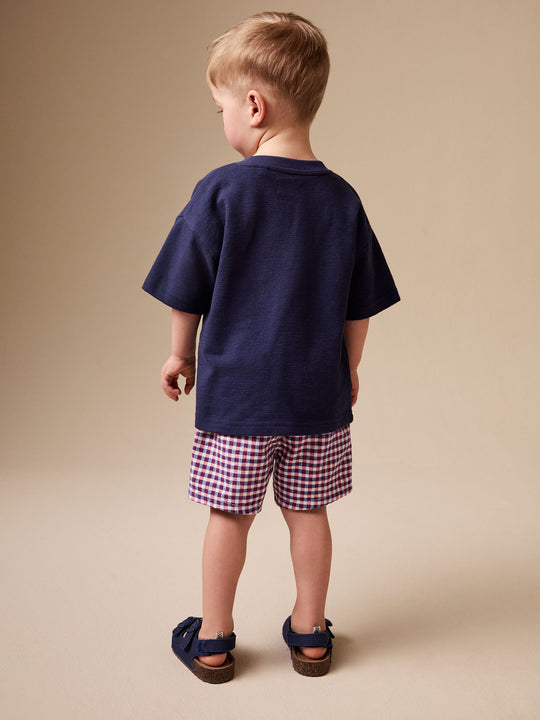 Red/Blue/White Gingham Linen Blend Chino Shorts (3mths-7yrs)