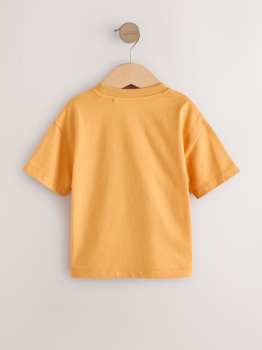 Orange Slogan Short Sleeve Small Graphic T-Shirt (3mths-7yrs)