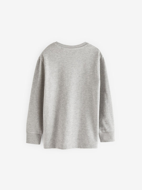 Grey Regular Fit Long Sleeve Cosy T-Shirt (3-16yrs)
