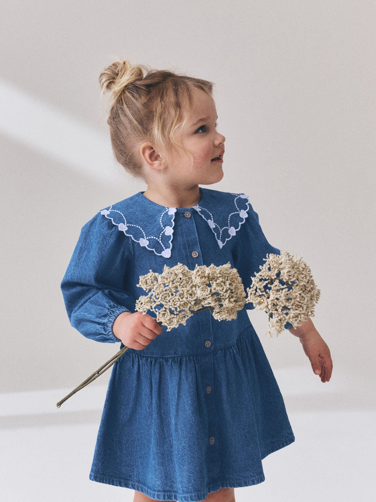 Blue Denim Long Sleeve Embroidered Collar Dress (3mths-8yrs)