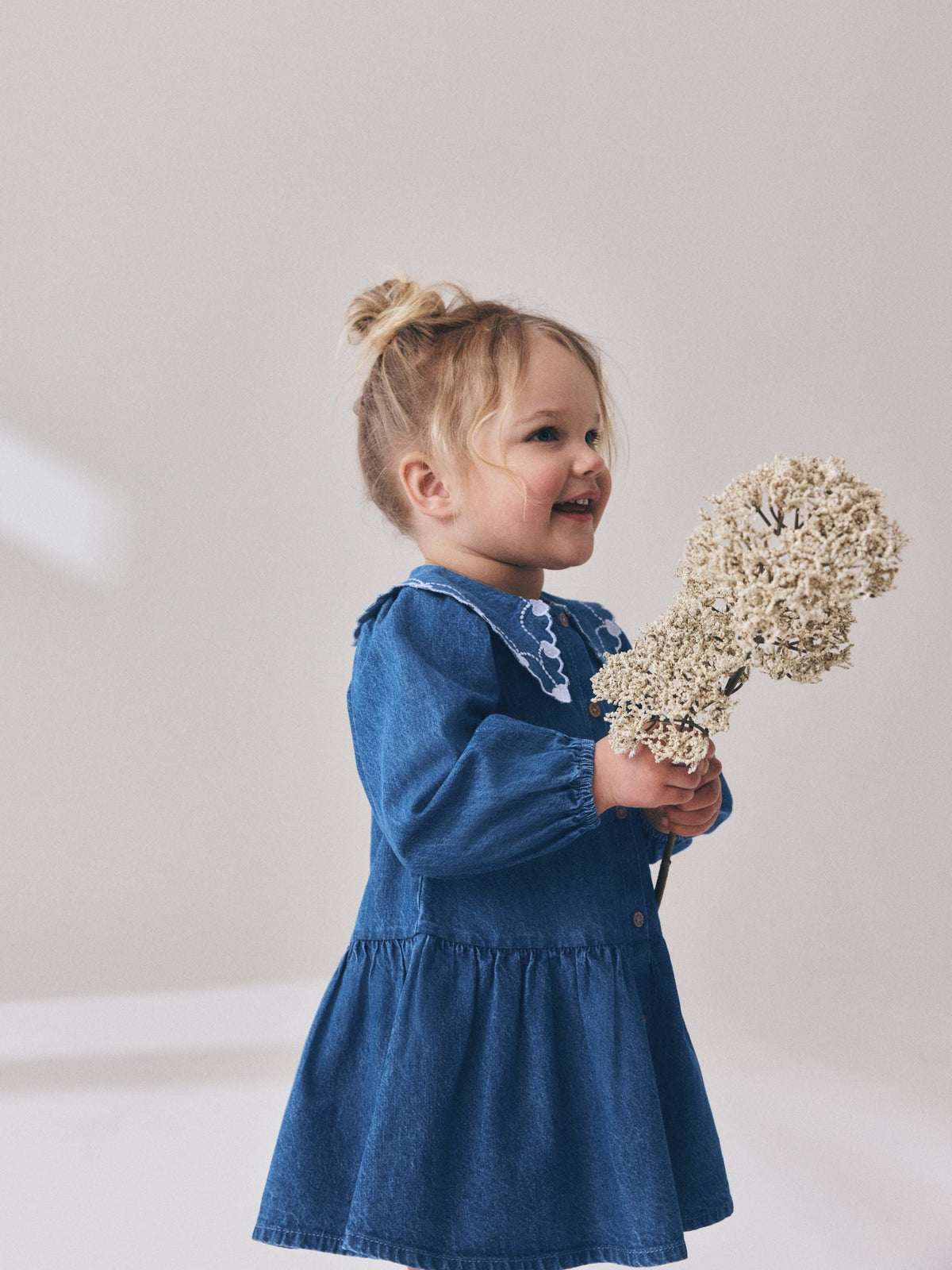 Blue Denim Long Sleeve Embroidered Collar Dress (3mths-8yrs)
