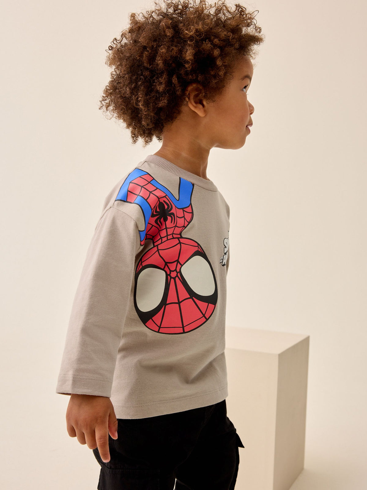 Cement Spidey Long Sleeve T-Shirt (9mths-8yrs)