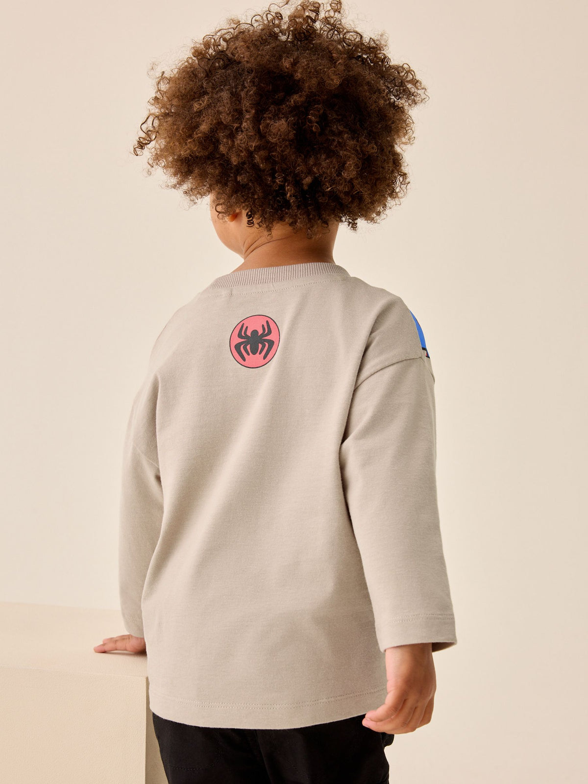 Cement Spidey Long Sleeve T-Shirt (9mths-8yrs)