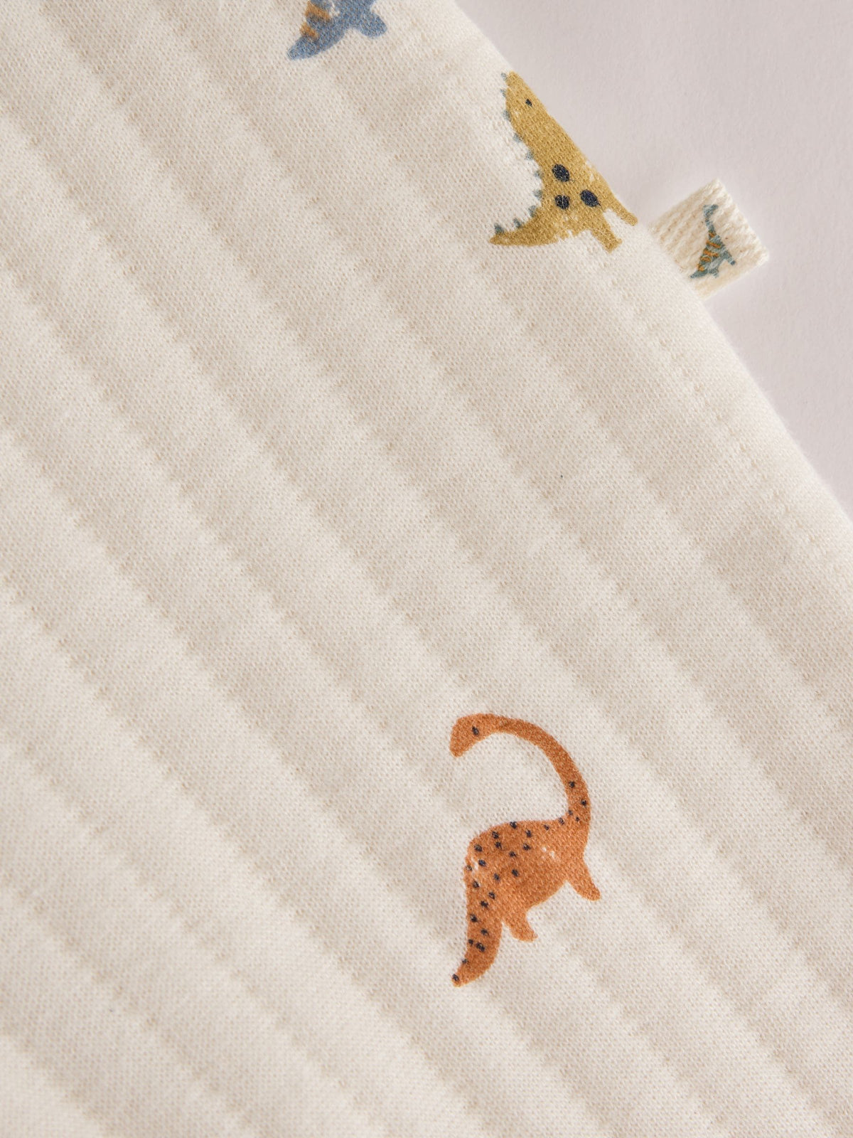 Blue/Neutral Dinosaur Quilted Sleepsuits 2 Pack
