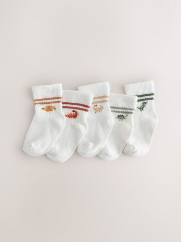 Dino Stripe Socks 5 pack