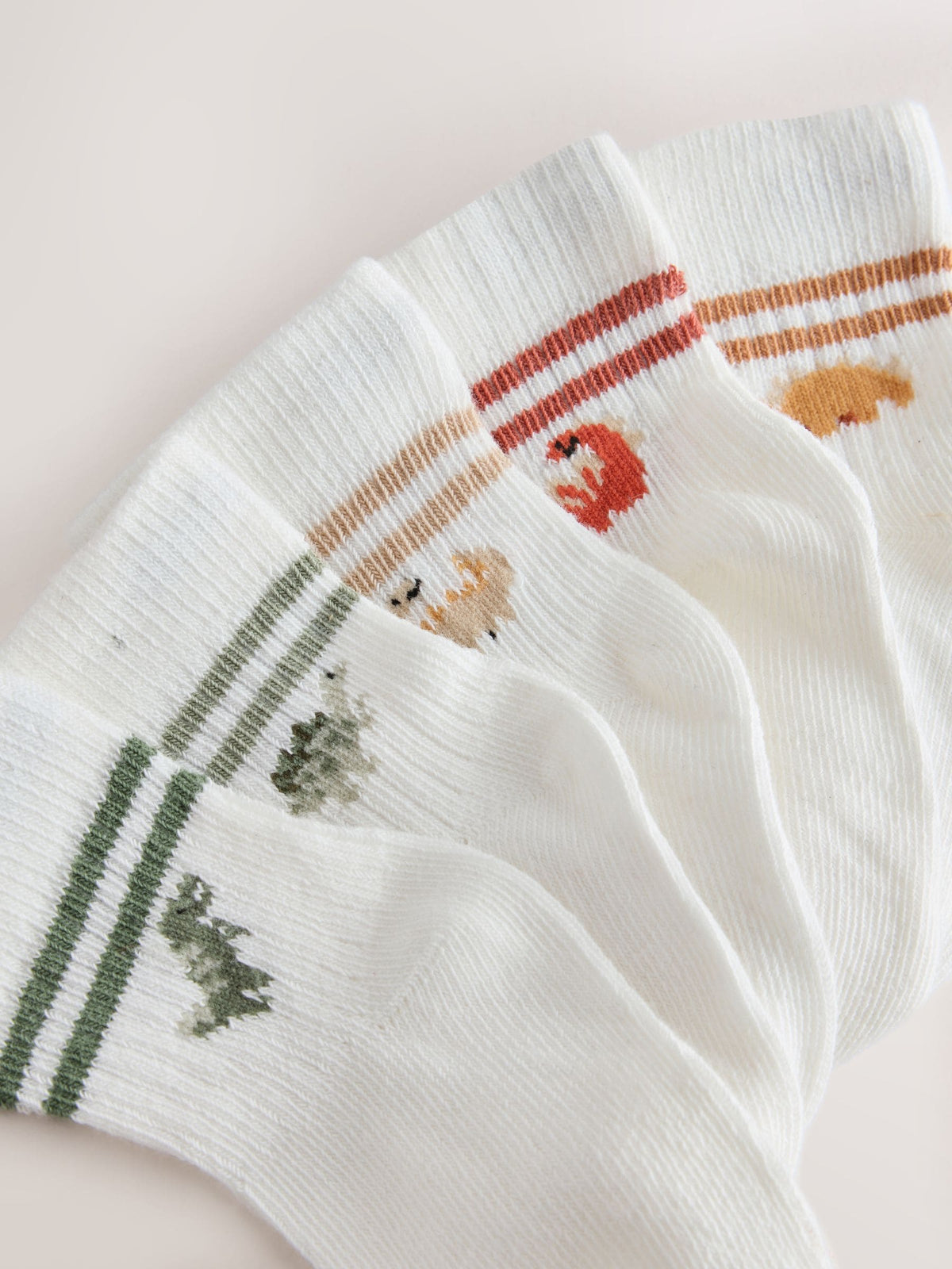 Dino Stripe Socks 5 pack