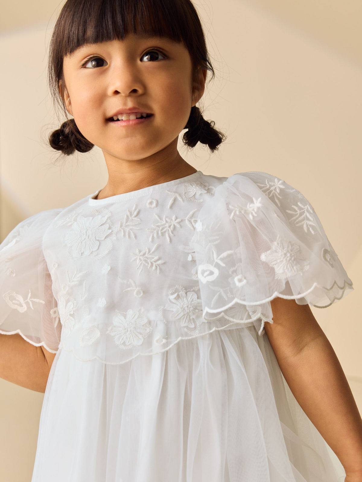 White Embroidered Mesh Occasion Dress (3mths-8yrs)