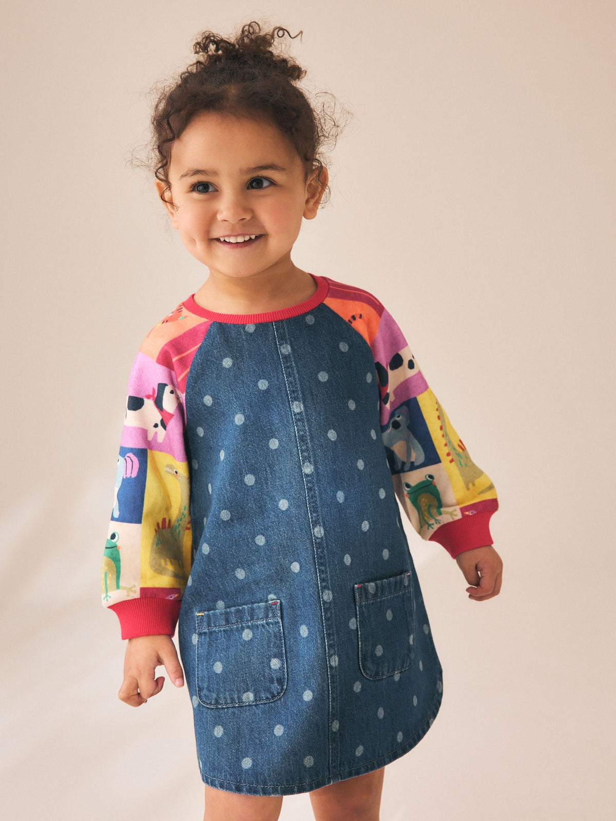 Animal Charcater Raglan Denim Dress (3mths-8yrs)