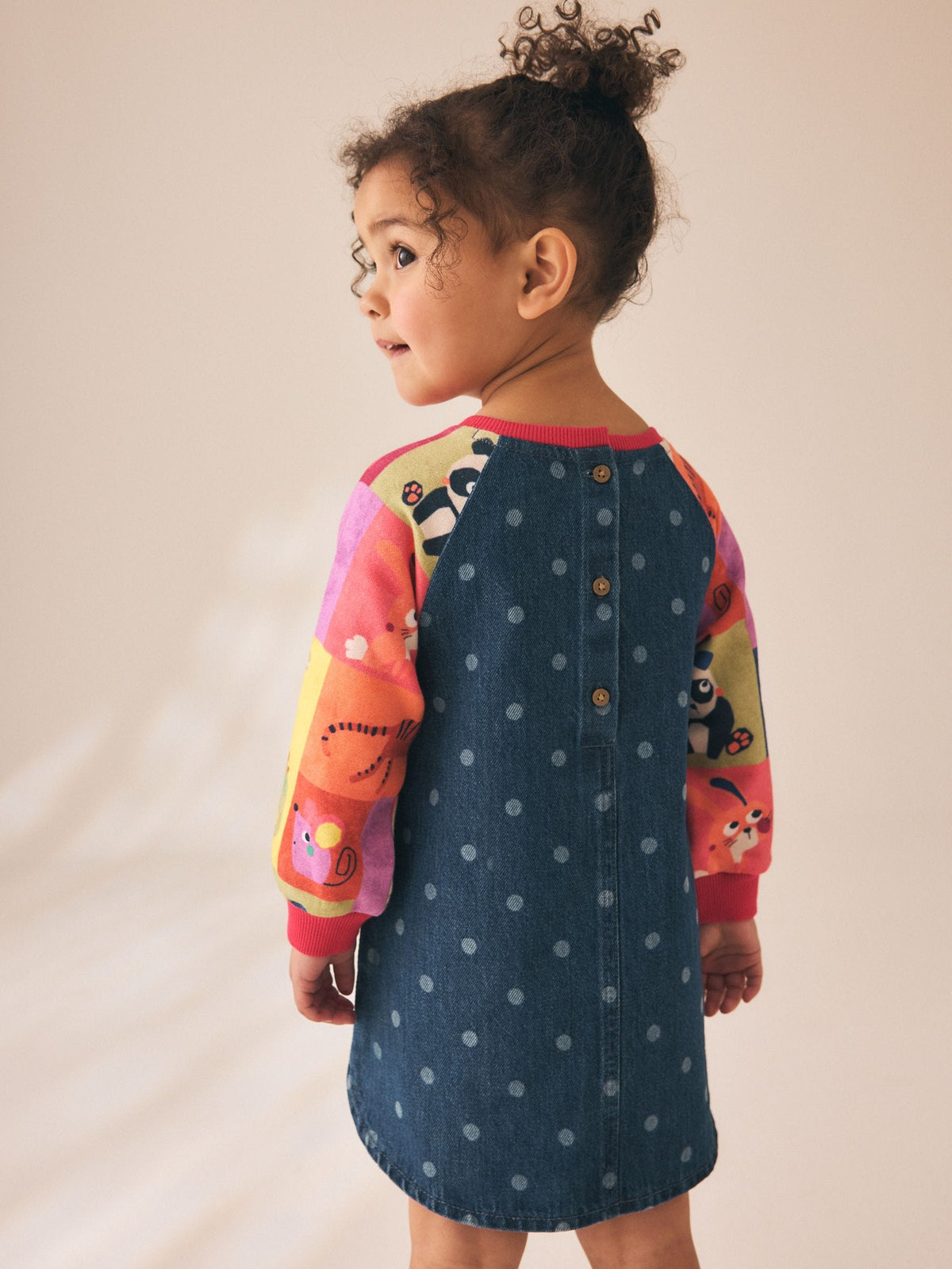 Animal Charcater Raglan Denim Dress (3mths-8yrs)