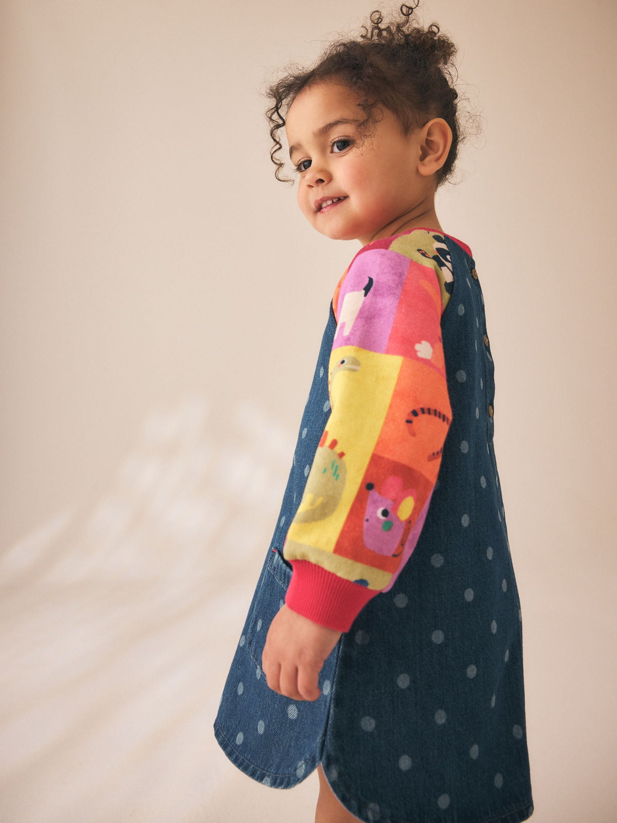 Animal Charcater Raglan Denim Dress (3mths-8yrs)