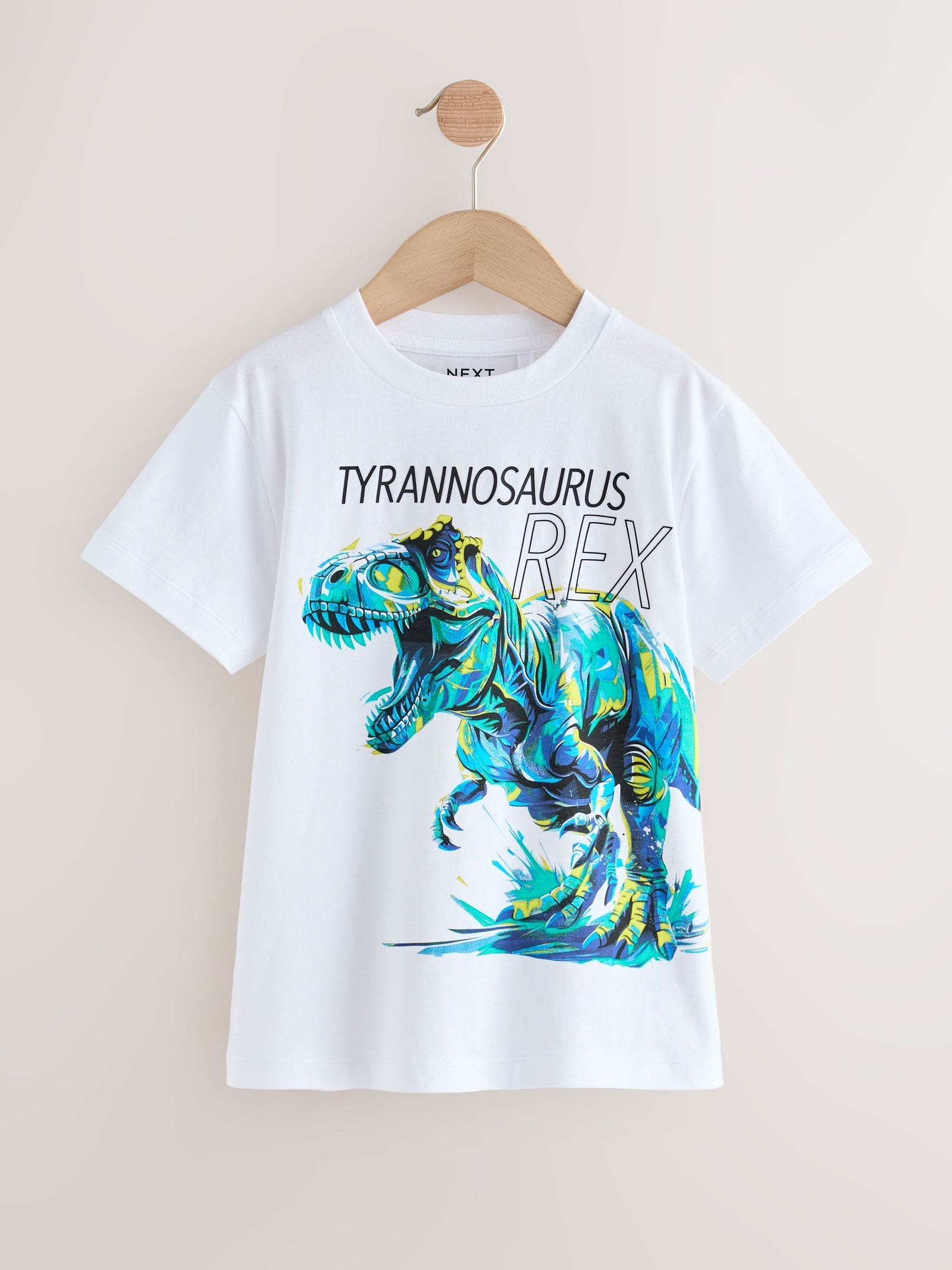 White/Blue Dino Regular Fit Short Sleeve Graphic Print T-Shirt (3-16yrs)