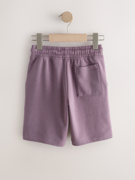 Purple Regular Fit Basic Shorts (3-16yrs)