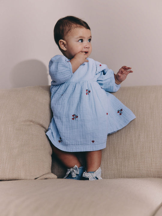 Blue/Red Baby Long Sleeve Embroidered Dress (0mths-2yrs)