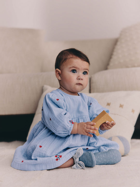 Blue/Red Baby Long Sleeve Embroidered Dress (0mths-2yrs)