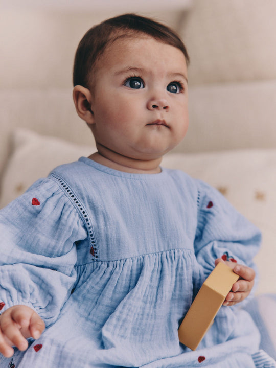 Blue/Red Baby Long Sleeve Embroidered Dress (0mths-2yrs)