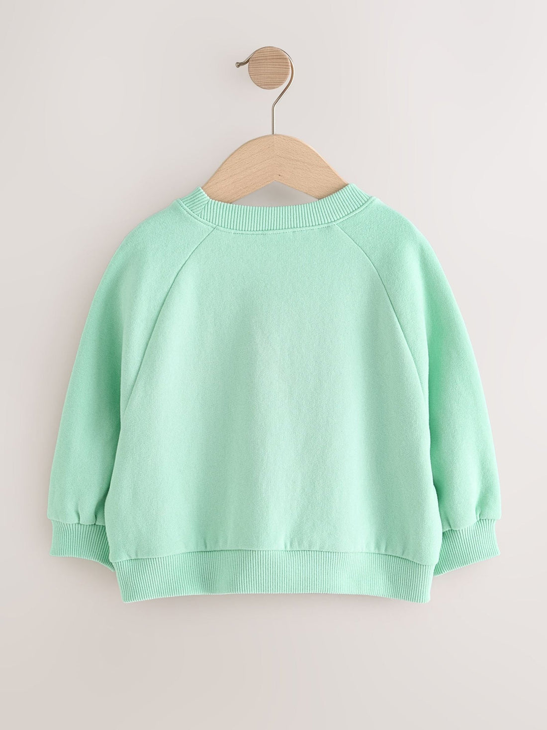 Mint Green Crew Neck Sweatshirt (3mths-7yrs)