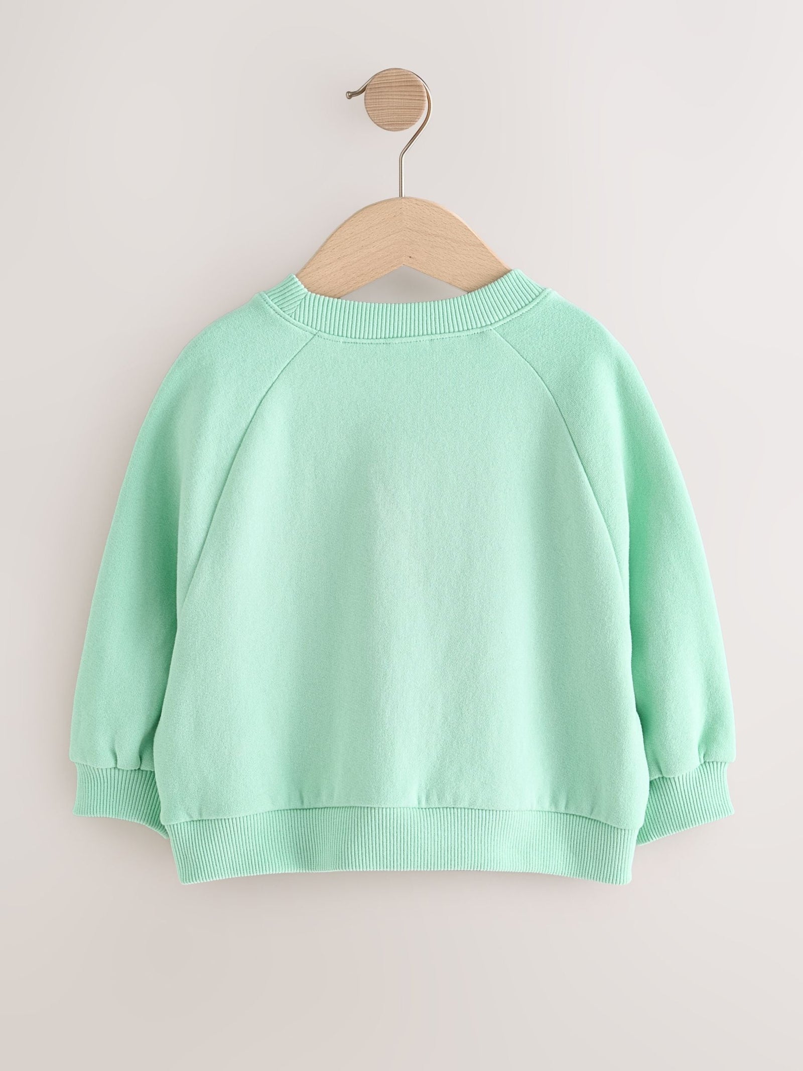 Mint Green Crew Neck Sweatshirt (3mths-7yrs)