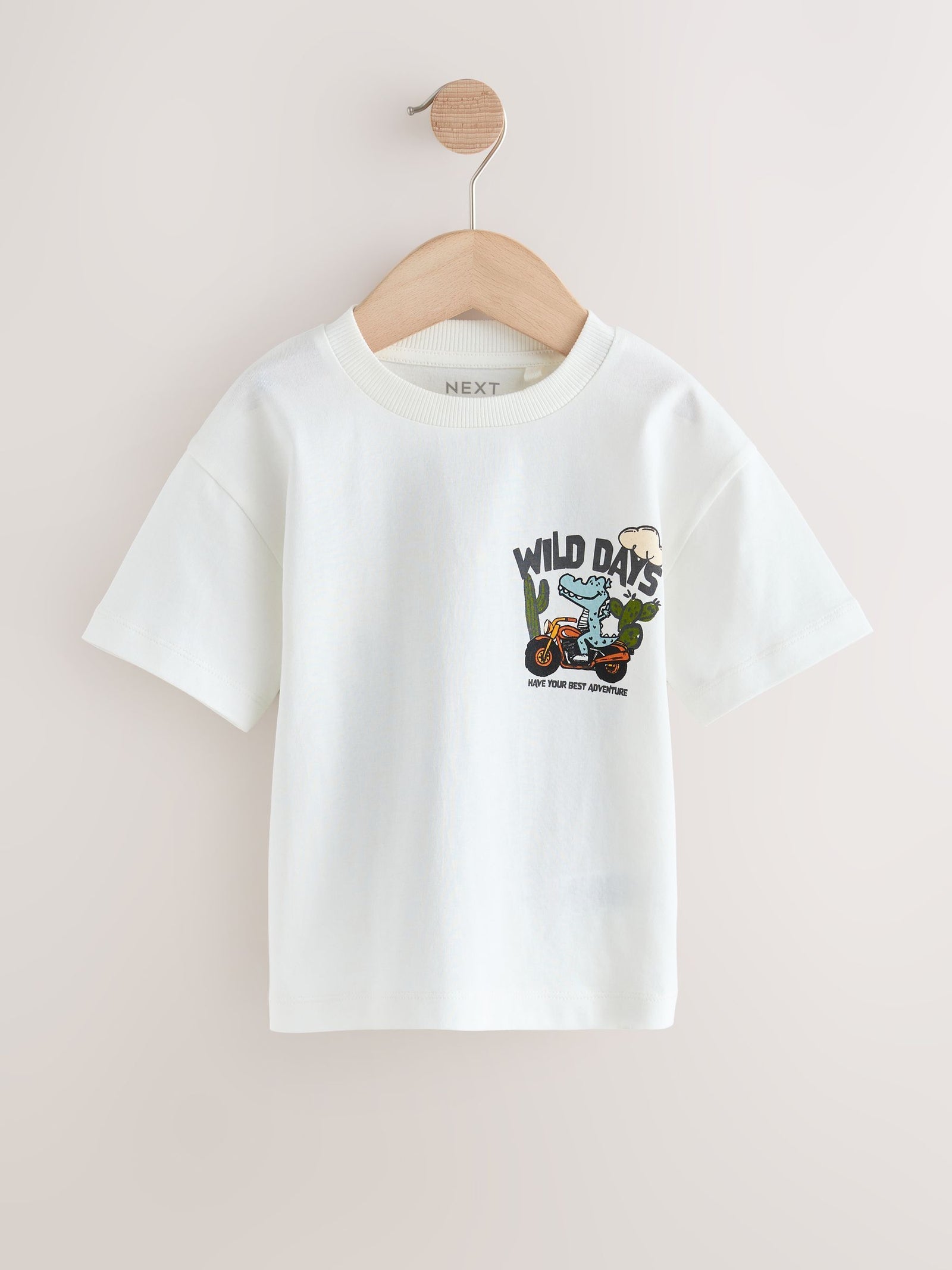 White Dinosaur Oversized Short Sleeve Back Print T-Shirt (3mths-7yrs)