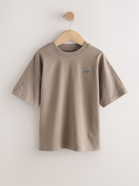 Light Grey/Brown/Dark Grey/Green Short Sleeve Logo Chest Graphic T-Shirts 4 Pack (3-16yrs)