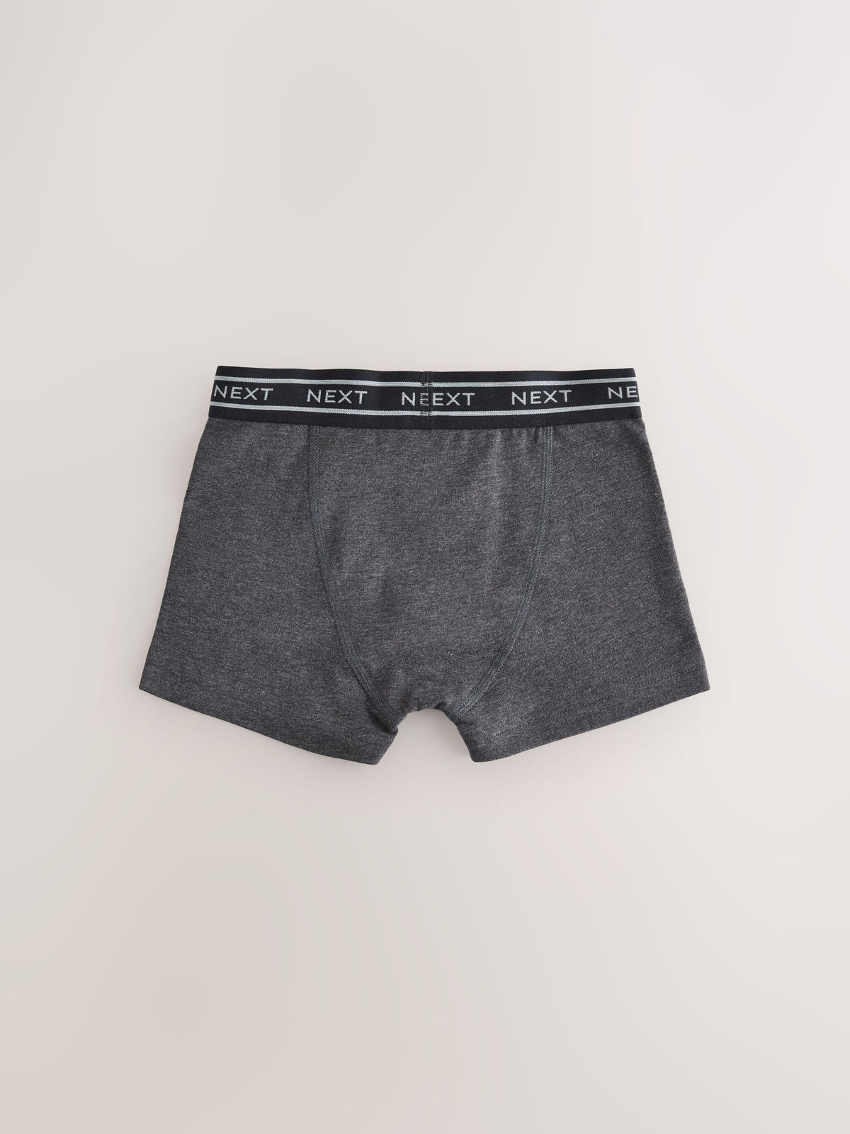 Blue with Double Stripe Waistband Trunks 10 Pack (1.5-16yrs)