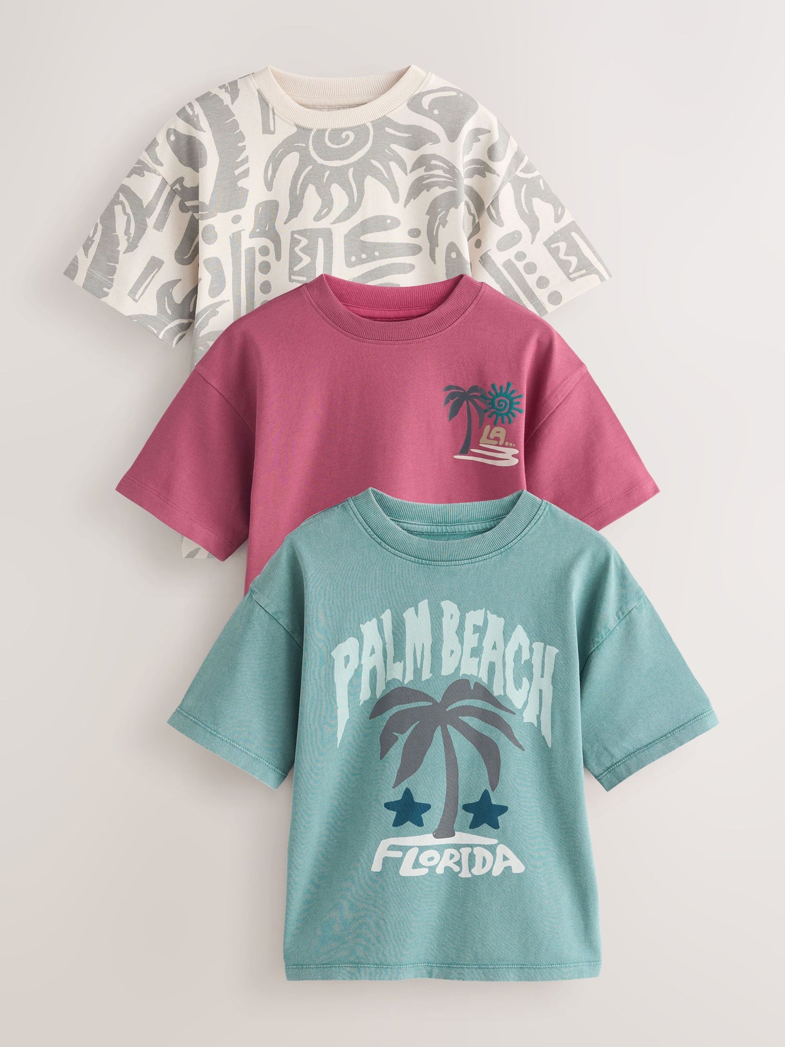 Berry/Mineral/Ecru Relaxed Fit Graphic Print Short Sleeve T-Shirts 3 Pack (3-16yrs)