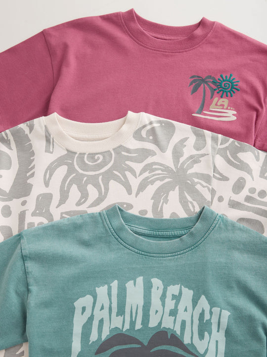 Berry/Mineral/Ecru Relaxed Fit Graphic Print Short Sleeve T-Shirts 3 Pack (3-16yrs)