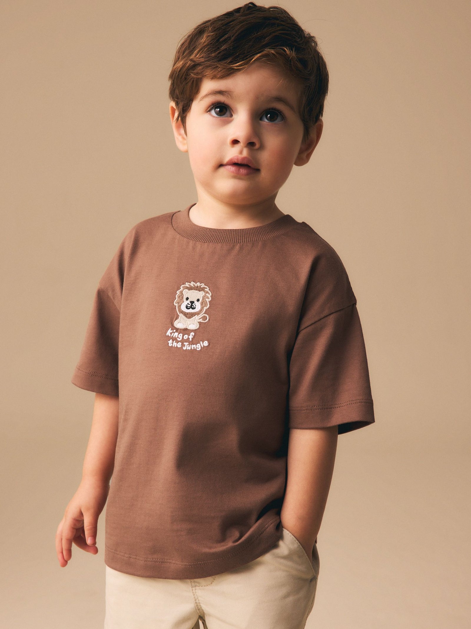 Chocolate Brown Lion Short Sleeve Small Graphic T-Shirt (3mths-7yrs)