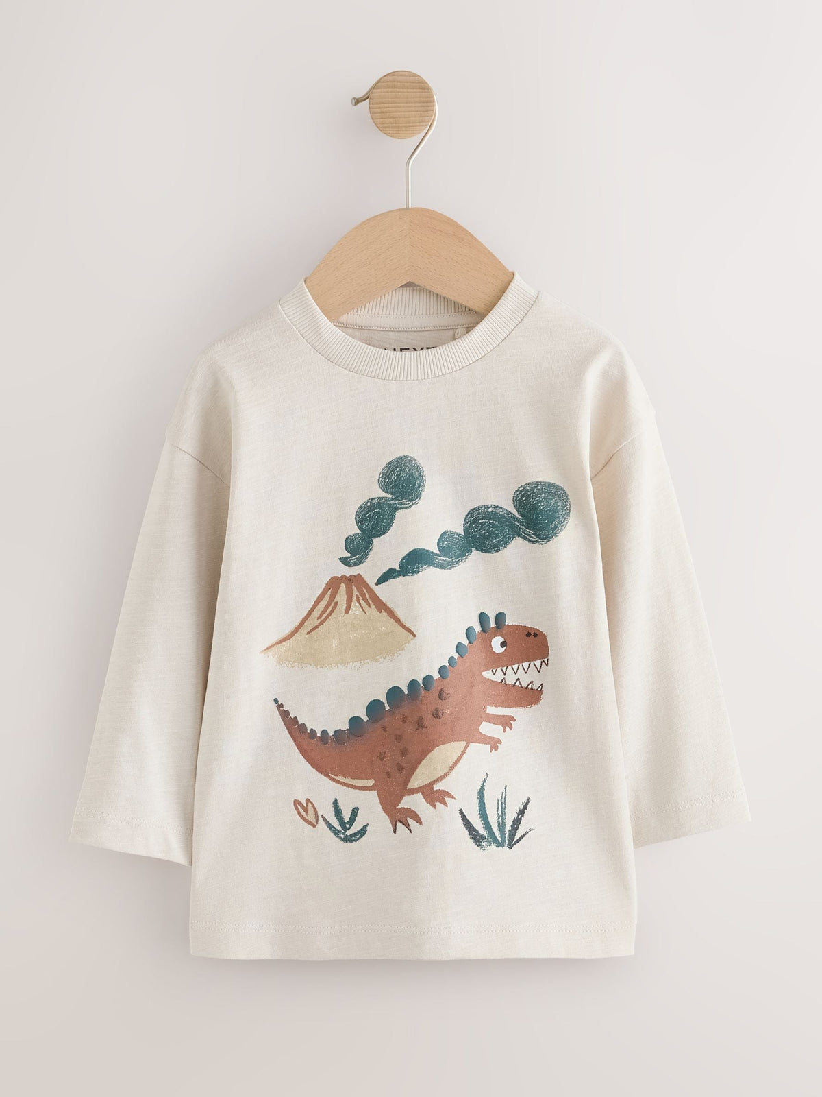 Brown Dinosaur Long Sleeve Graphic T-Shirts 3 Pack (3mths-7yrs)