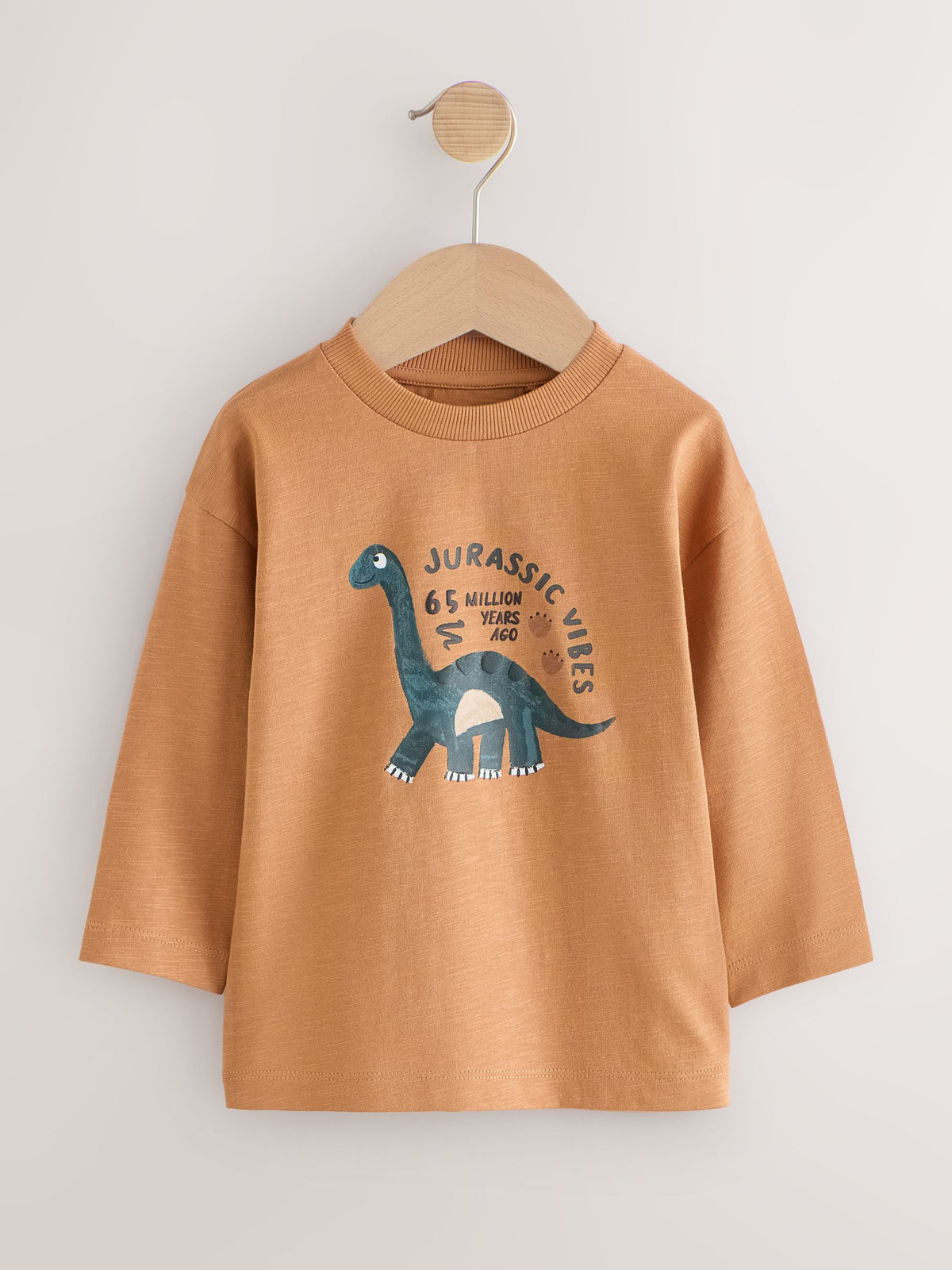 Brown Dinosaur Long Sleeve Graphic T-Shirts 3 Pack (3mths-7yrs)